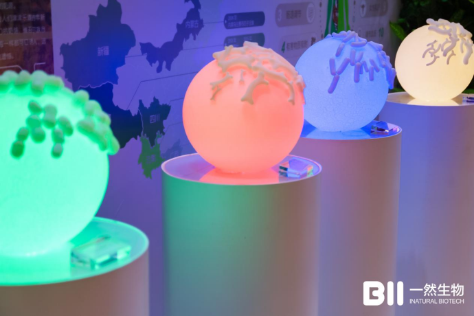 1640942022138665.jpg 1640942009(1).jpg